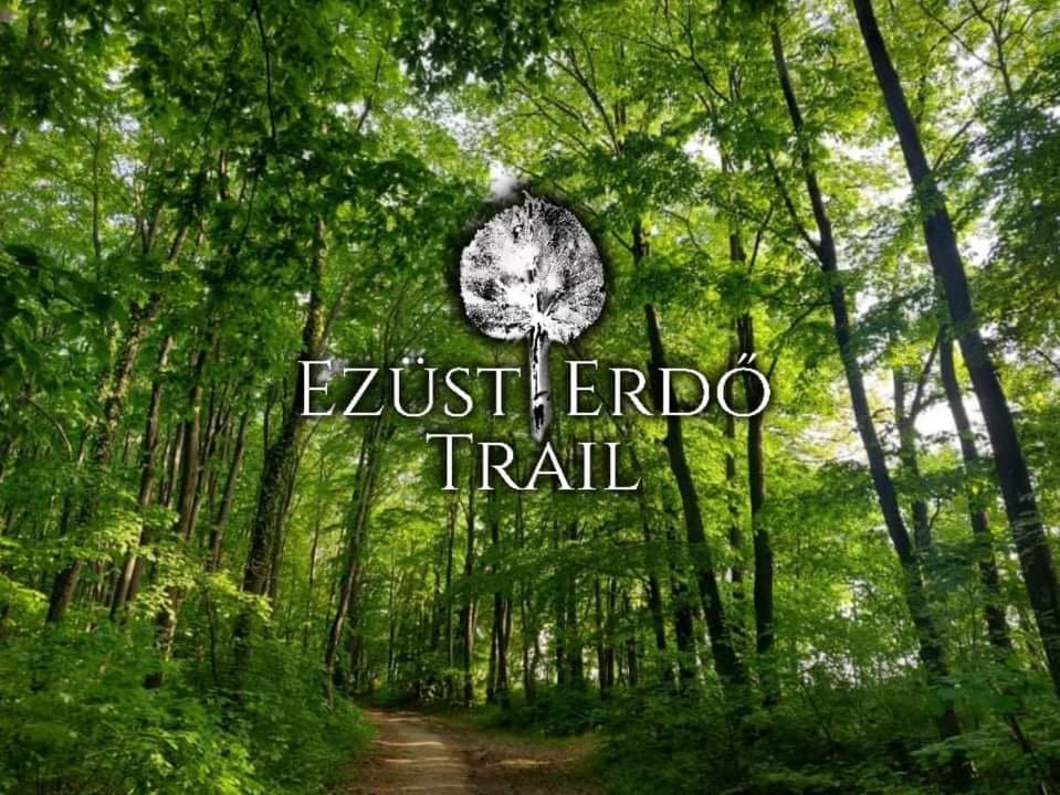 Ezüst Erdő Trail (2022-08-13)