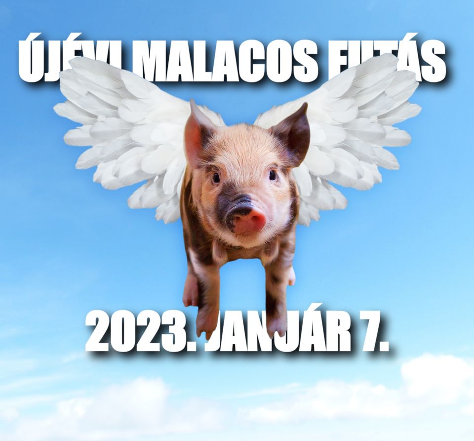 Újévi malacos futás 2023 (2023-01-07)