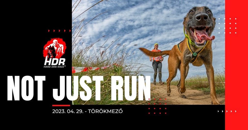 HDR – Hard Dog Race Not Just Run – Hat láb, két szív, három menhely! (2023-04-29)