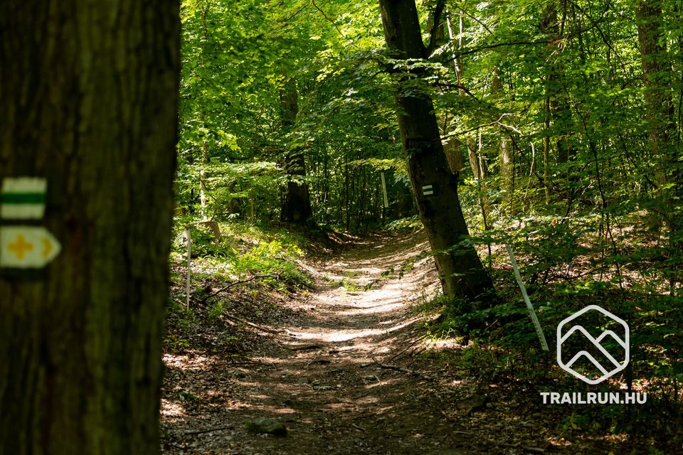 Mutatok egy ösvényt! – Path XIX – avagy a Triton Trail bejárás folytatódik (2023-04-07)