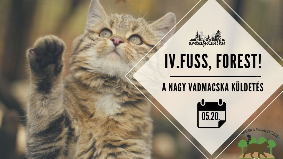 IV. FUSS, FOREST! – Jótékonysági terepfutó verseny (2023-05-20)
