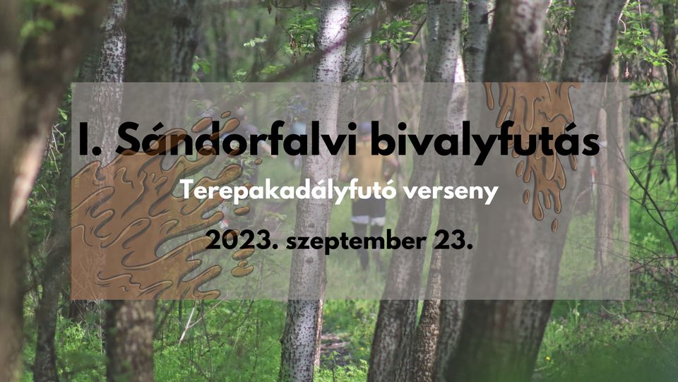 I. Sándorfalvi Bivalyfutás (2023-09-23)
